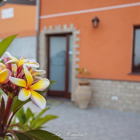 La Pomelia B&b Sofia Trappitello Exterior foto