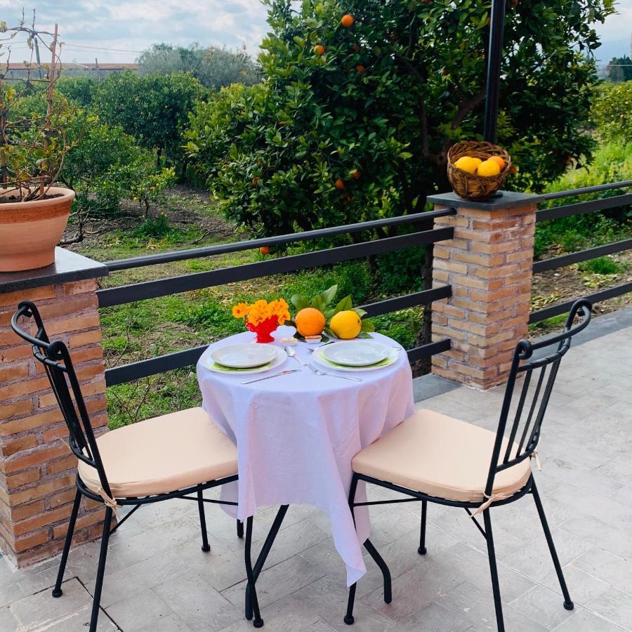 La Pomelia B&b Sofia Trappitello Exterior foto