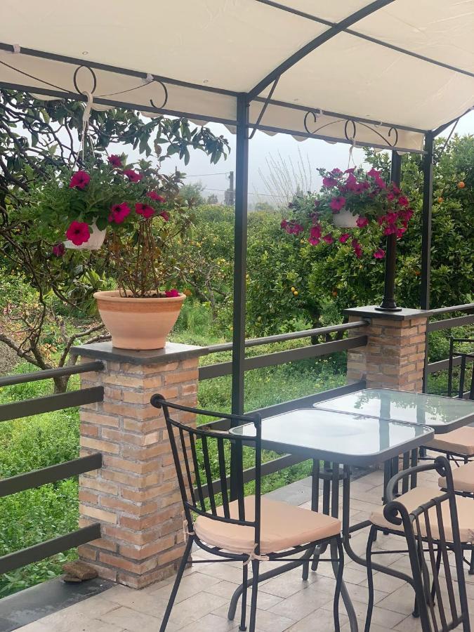 La Pomelia B&b Sofia Trappitello Exterior foto