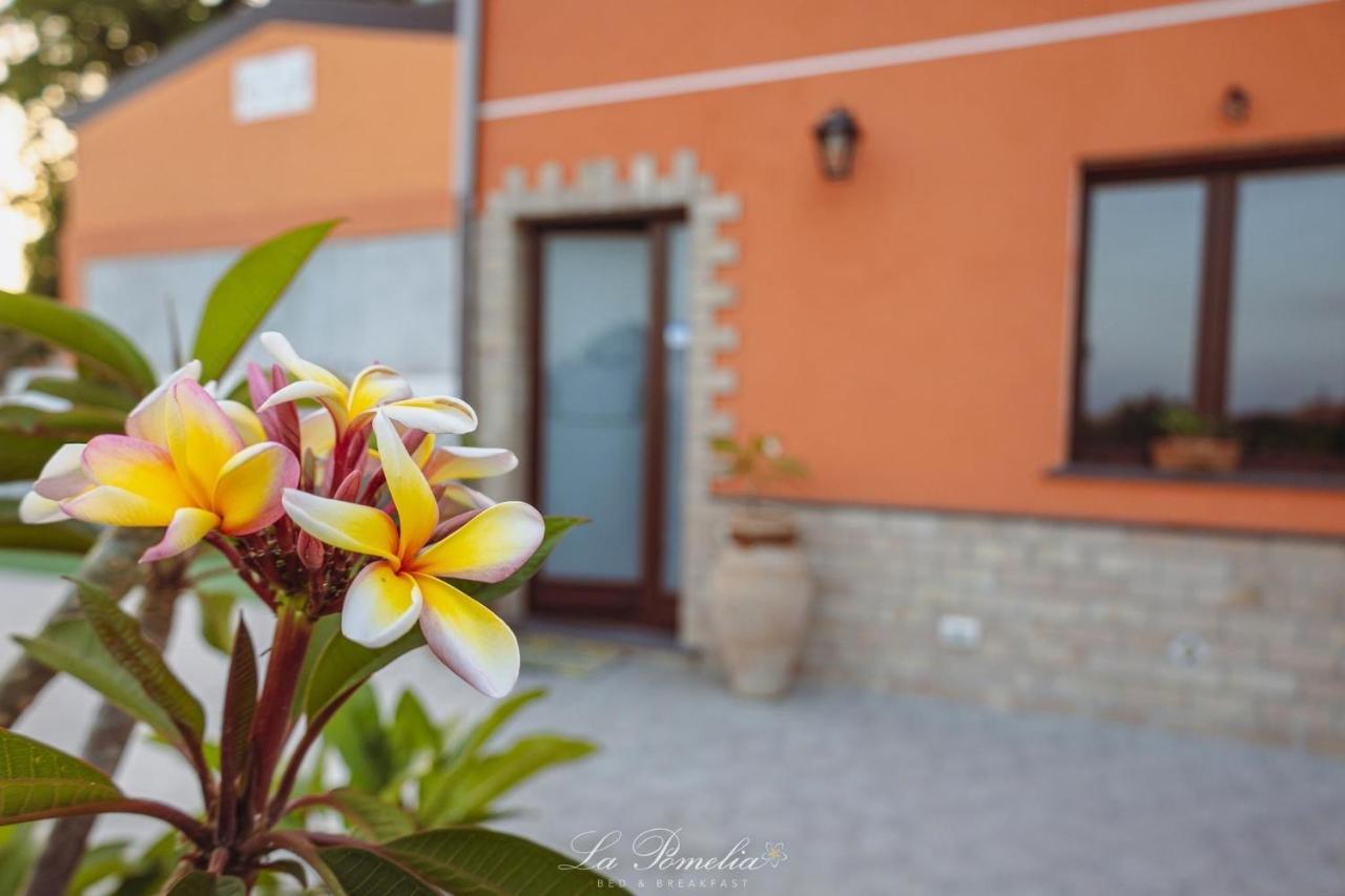 La Pomelia B&b Sofia Trappitello Exterior foto